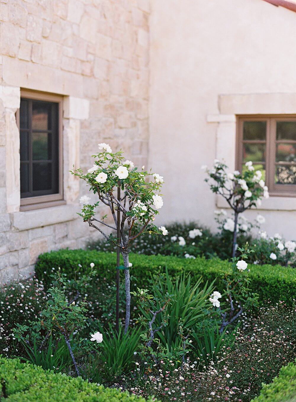 Rose garden at Cal-a-vie spa - Jacqueline Benét Photography