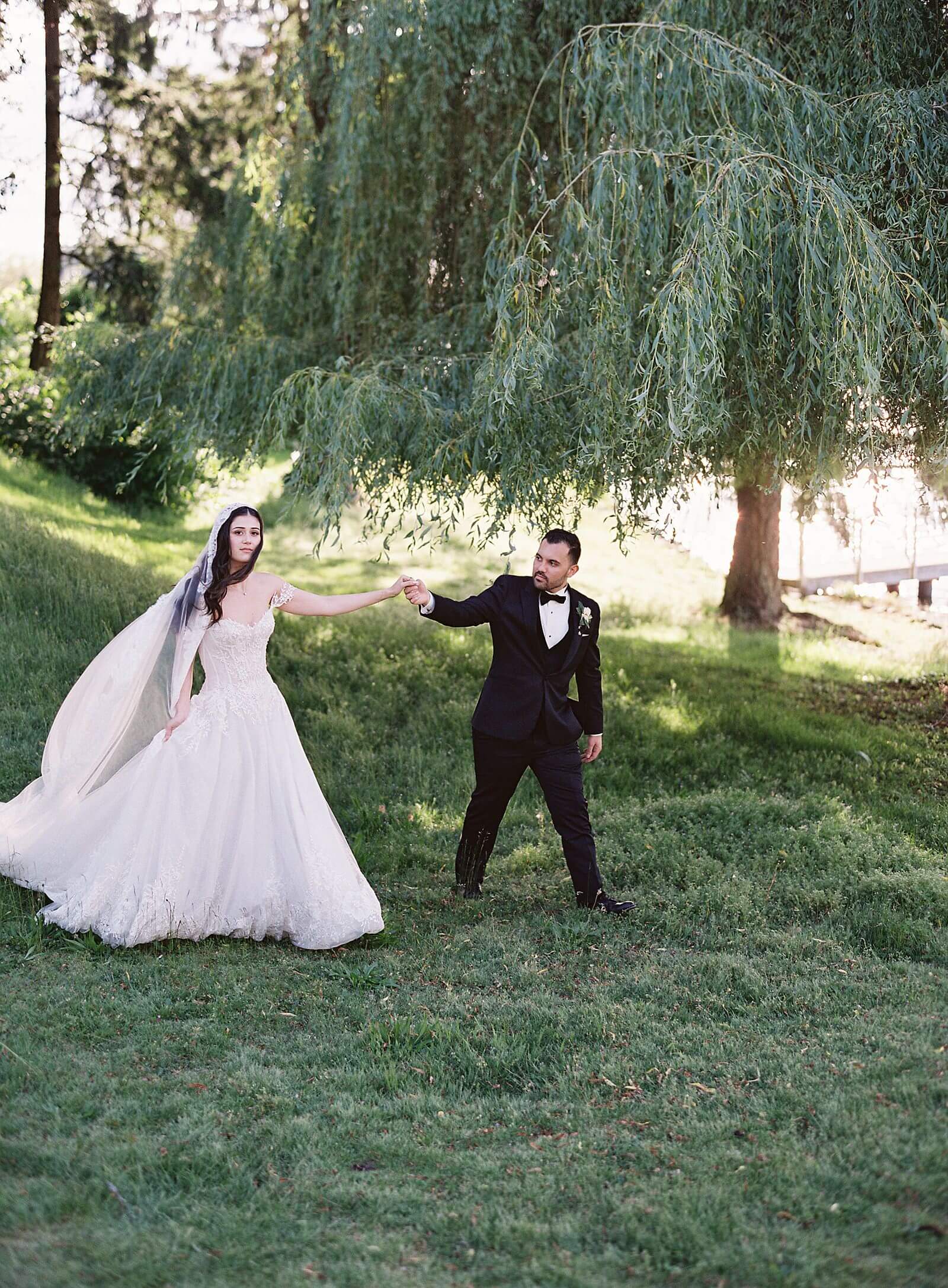 bride and groom walk under willow tree with the wind sweeping across lace cathedral veil - Jacqueline Benét Photography