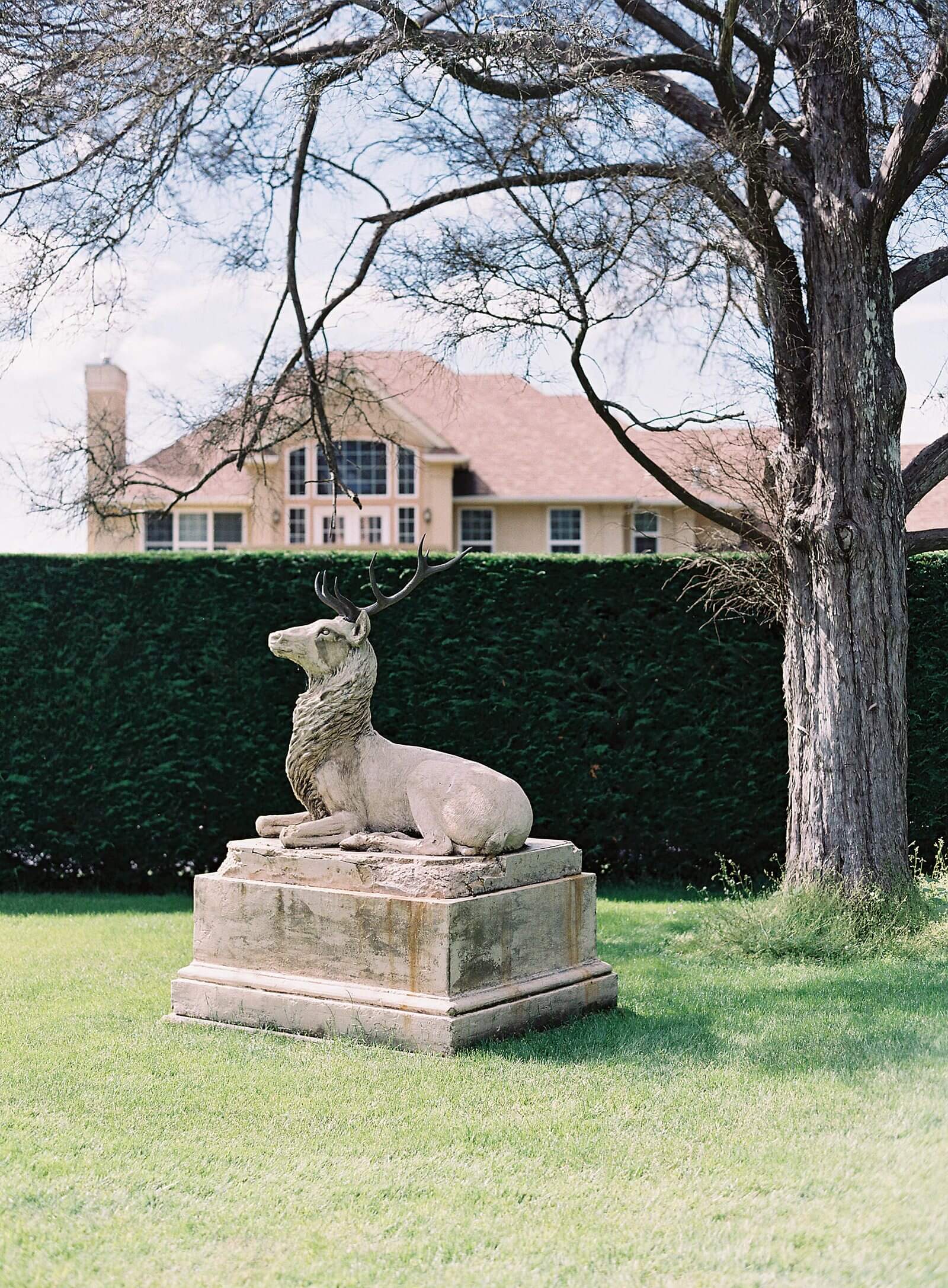 Thornewood Castle stag statue -  Jacqueline Benét Photography