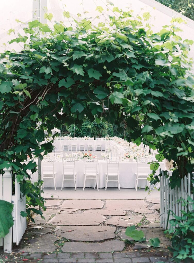 View of the reception tables through the ivy arch entrance of the Fox Hollow Farm reception tent - shot by Jacqueline Benét - Seattle wedding photography